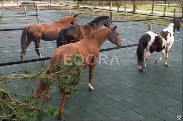 Маты из резиновой крошки для конюшни в Пушкино