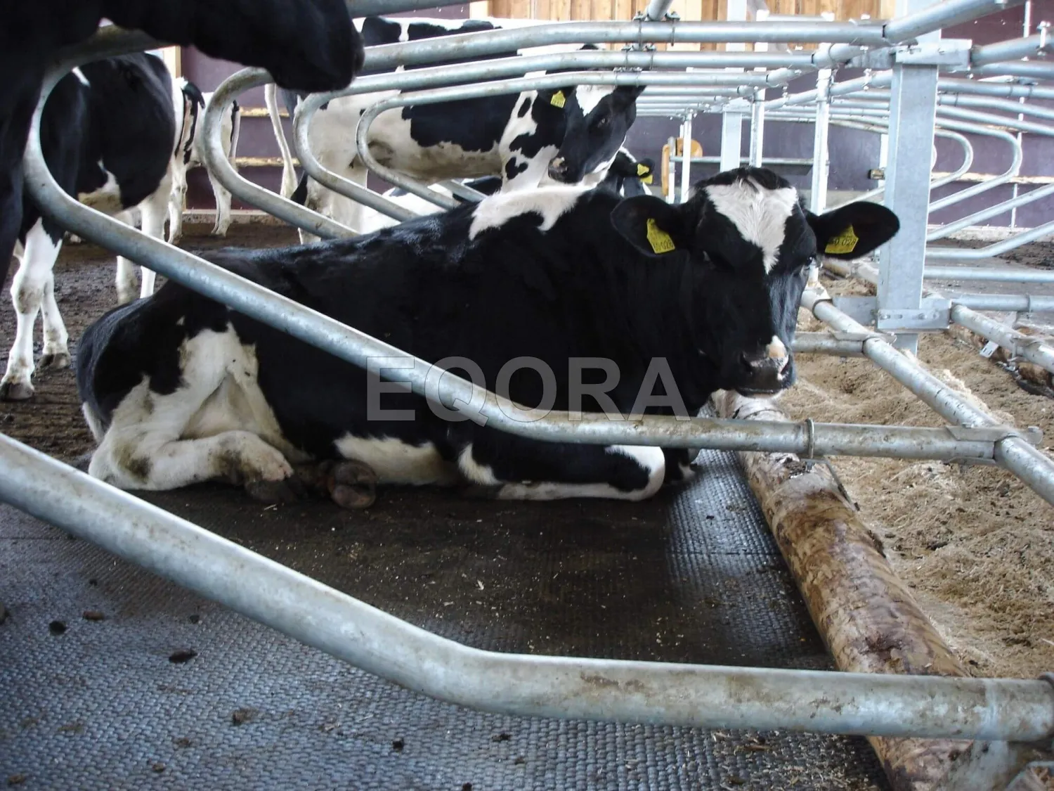 Резиновые маты из крошки для коров и КРС в Пушкино